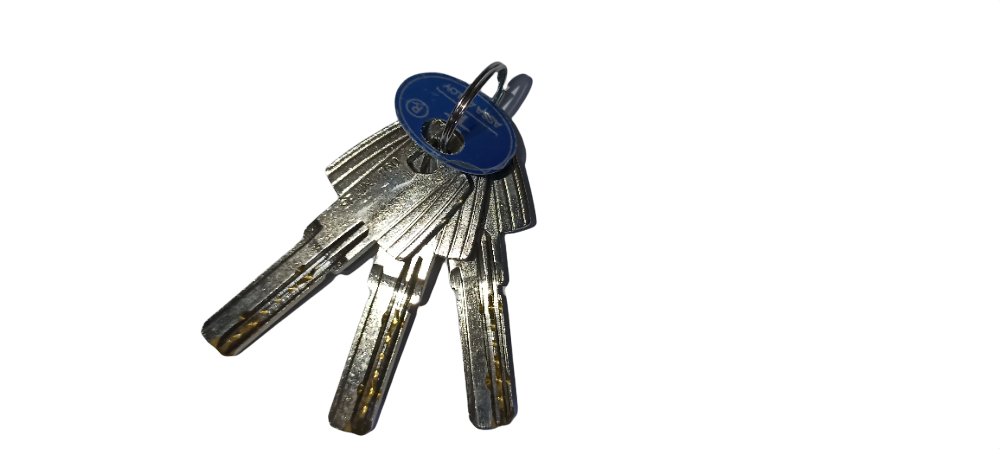 Cilindro Latonado T60 T6553535L Llave/Llave Tesa