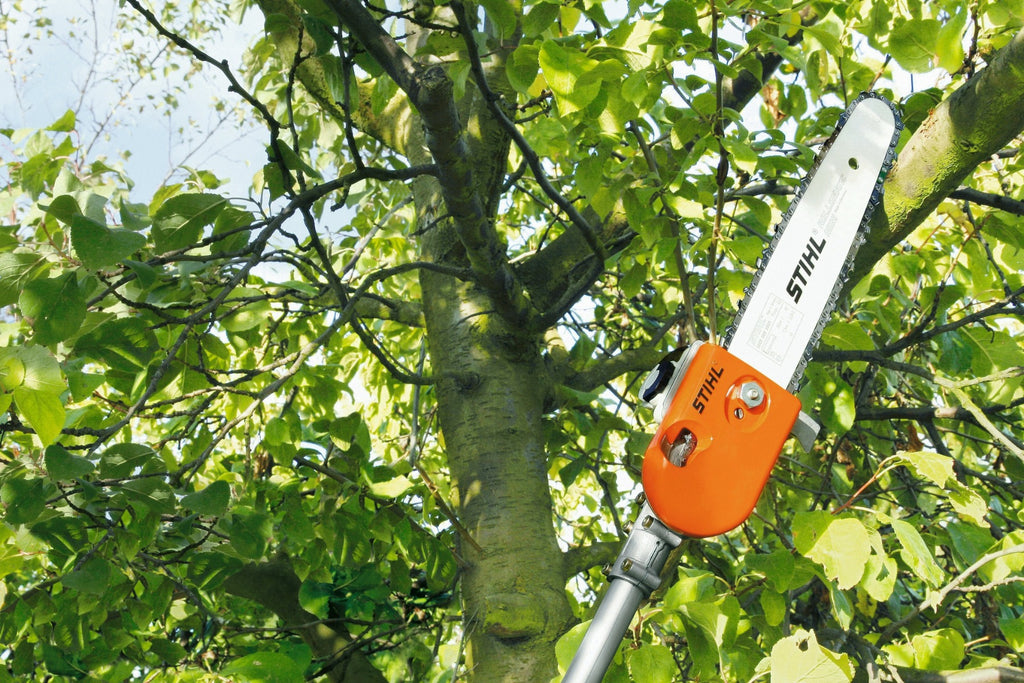 Motosierra telescópica HT 75 Stihl
